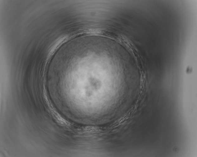 X0000115650145200911101547