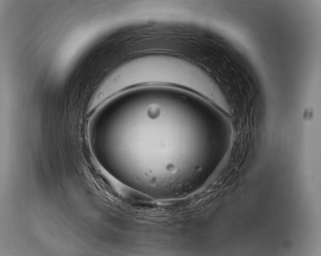 X0000115650146200911101547