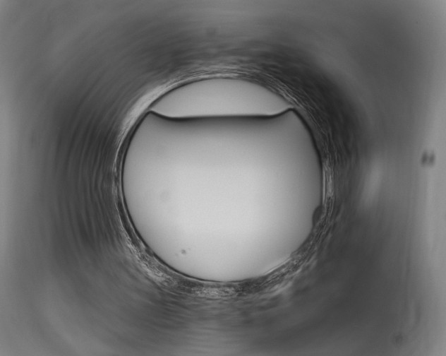 X0000115650147200911101547