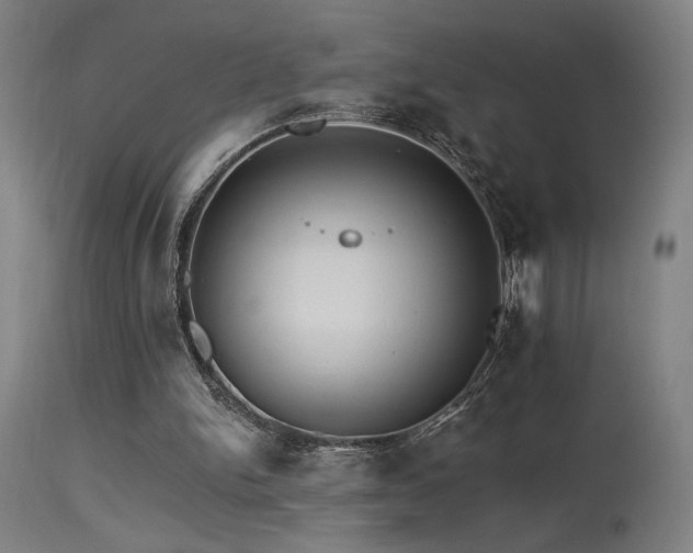X0000115650150200911101547