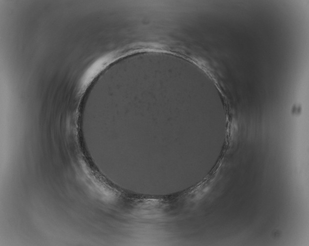 X0000115650151200911101547