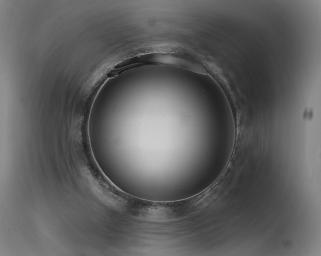 X0000115650154200911101547
