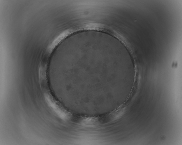 X0000115650155200911101547