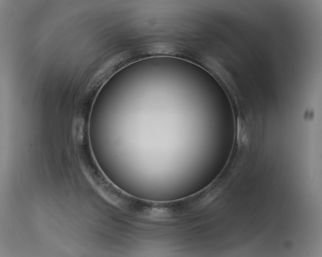 X0000115650157200911101547