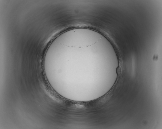 X0000115650159200911101547