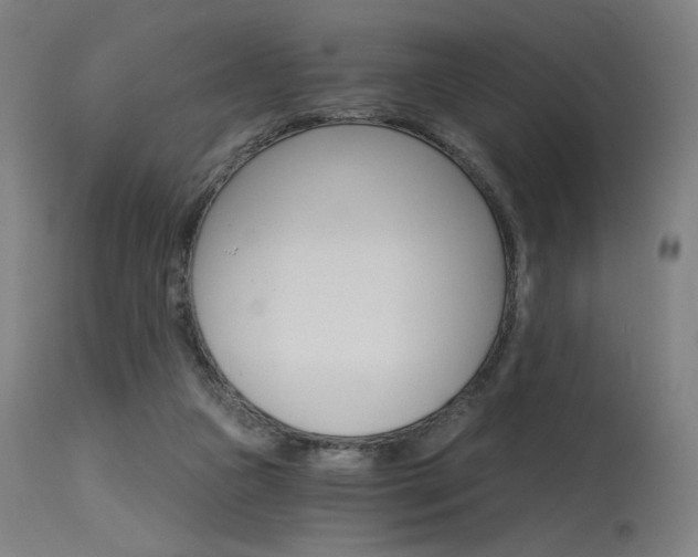 X0000115650161200911101547
