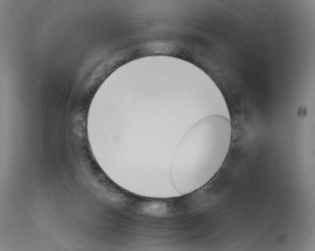 X0000115650162200911101547