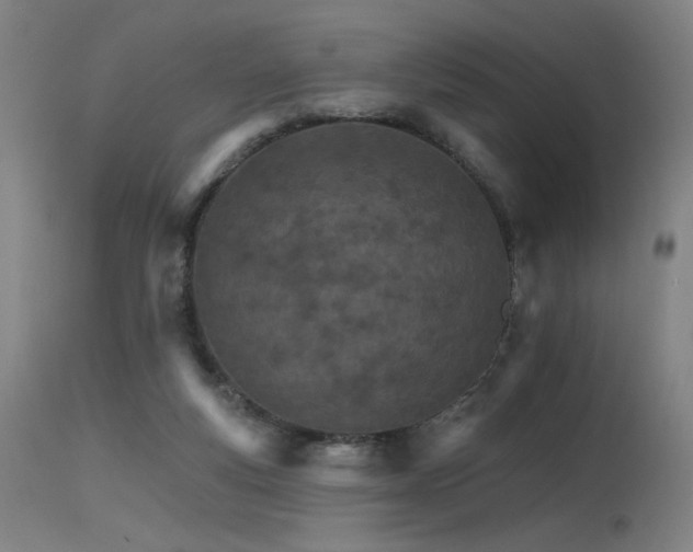 X0000115650163200911101547
