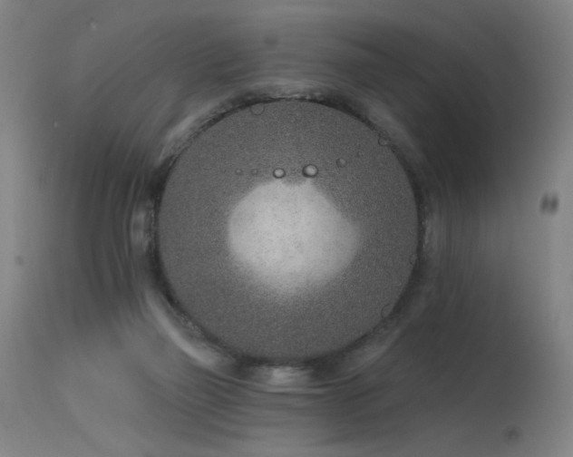 X0000115650165200911101547