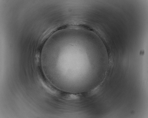 X0000115650166200911101547