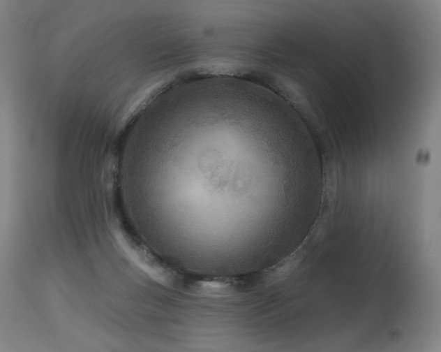 X0000115650167200911101547