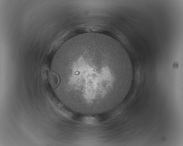 X0000115650169200911101548