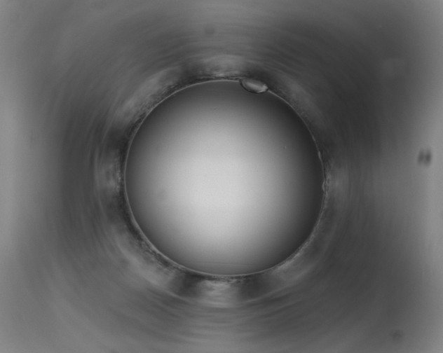 X0000115650170200911101548