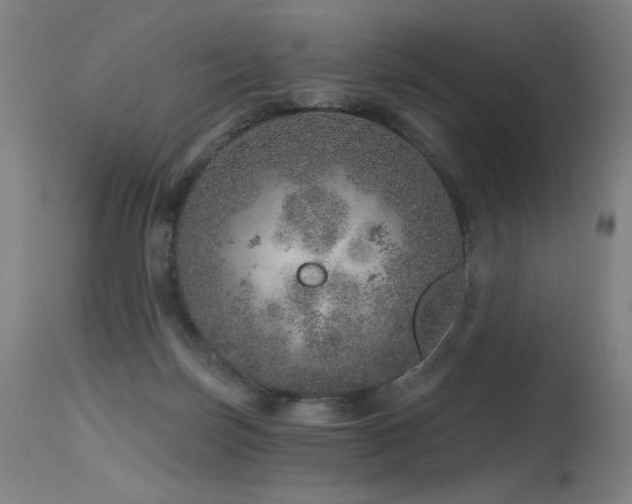 X0000115650171200911101548