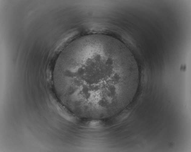 X0000115650173200911101548