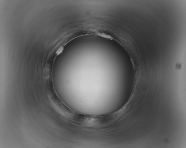 X0000115650174200911101548