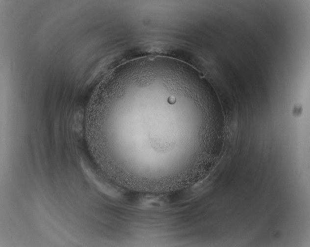 X0000115650175200911101548