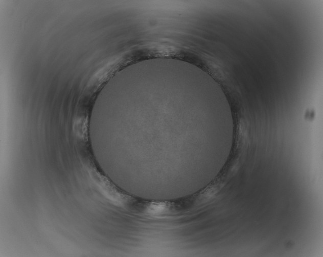 X0000115650177200911101548