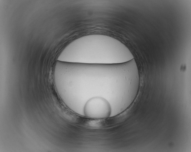 X0000115650178200911101548