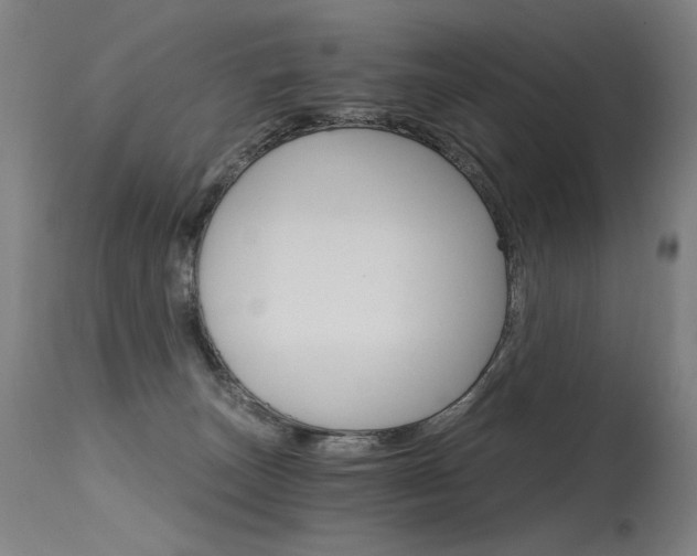X0000115650179200911101548