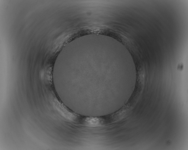 X0000115650181200911101548