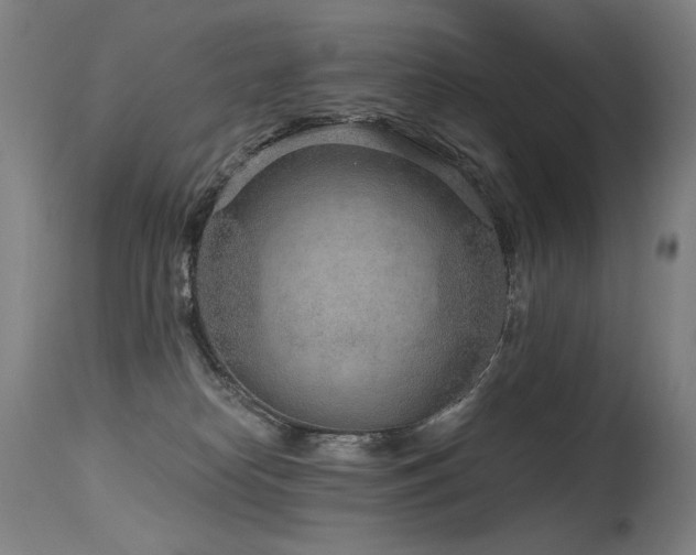 X0000115650182200911101548