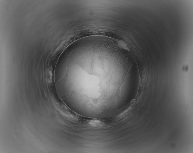 X0000115650183200911101548