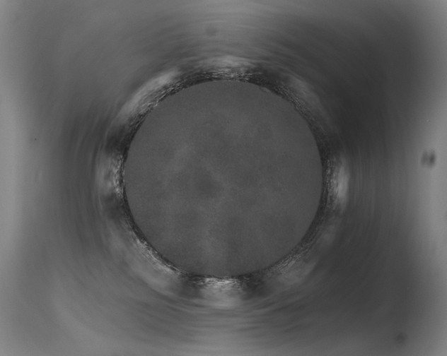 X0000115650185200911101548