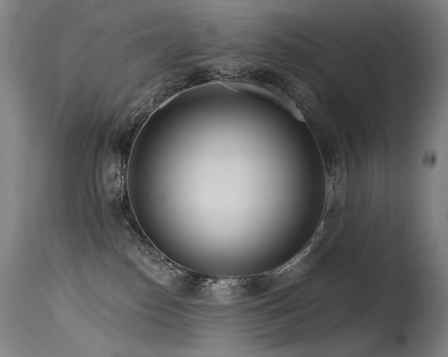 X0000115650186200911101548