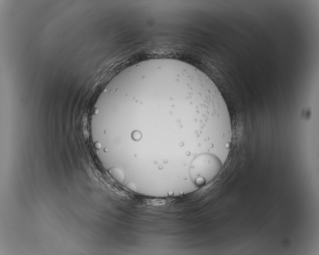 X0000115650187200911101548