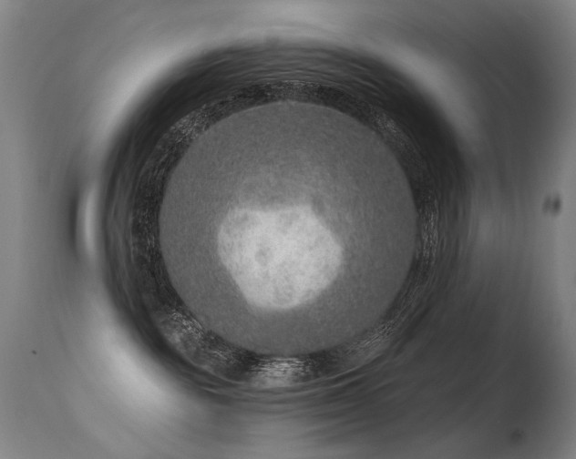 X0000115650189200911101548