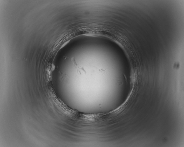X0000115650190200911101548