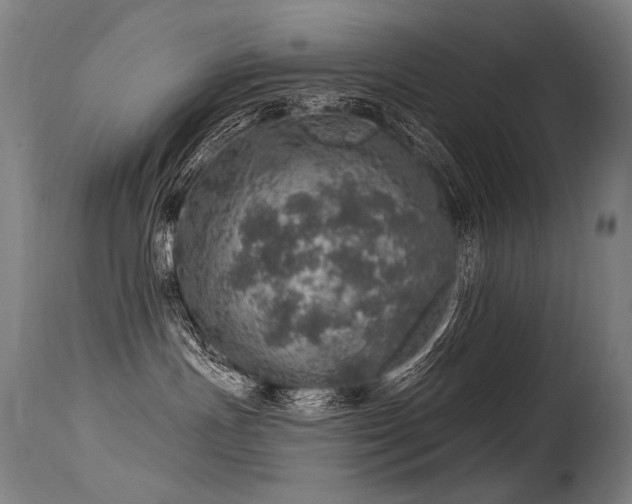 X0000115650191200911101548