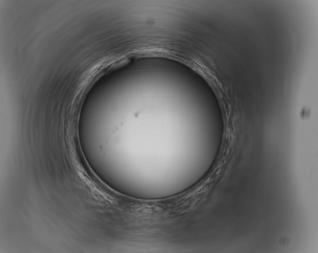 X0000115650193200911101547