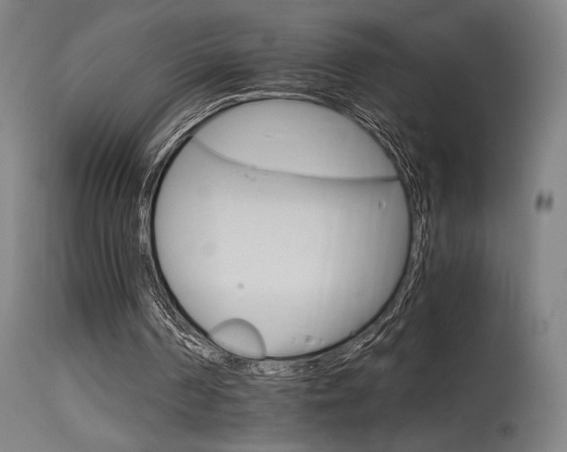 X0000115650194200911101547
