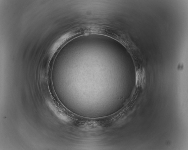 X0000115650195200911101547