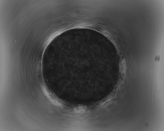 X0000115650196200911101547
