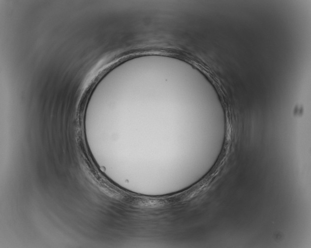 X0000115650198200911101547