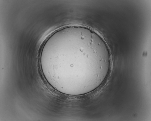 X0000115650199200911101547