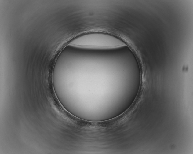 X0000115650201200911101547