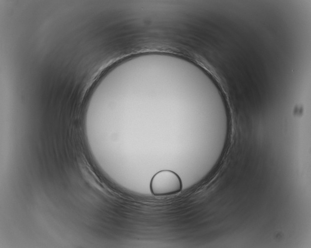 X0000115650203200911101547