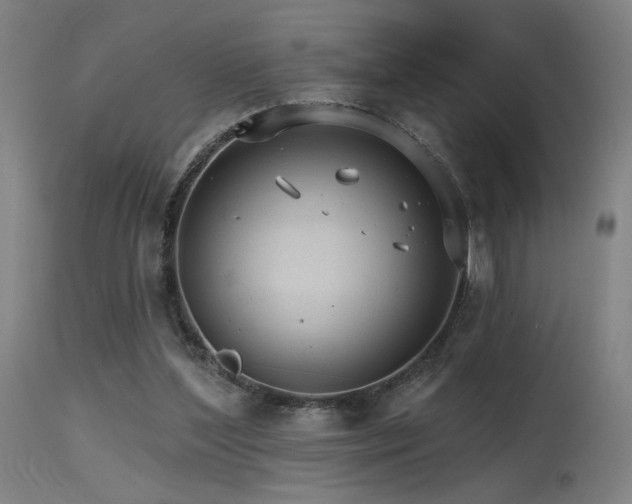X0000115650204200911101547
