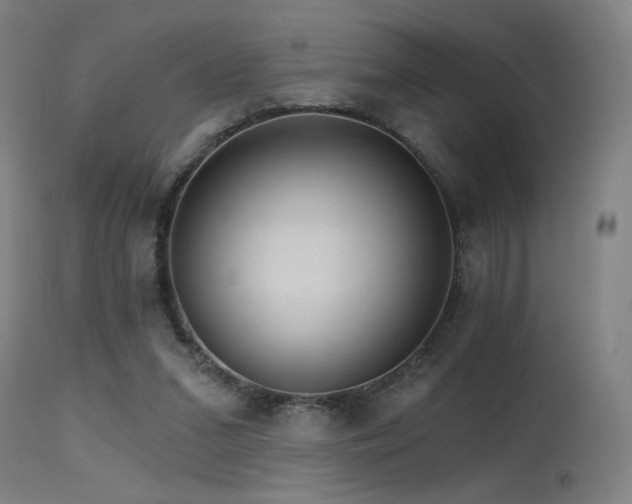 X0000115650207200911101547