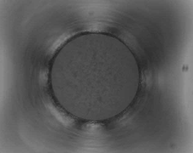 X0000115650208200911101547