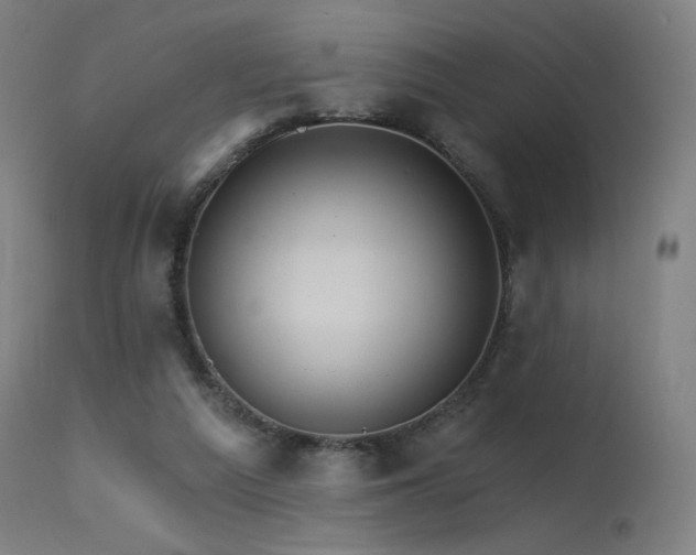 X0000115650209200911101547