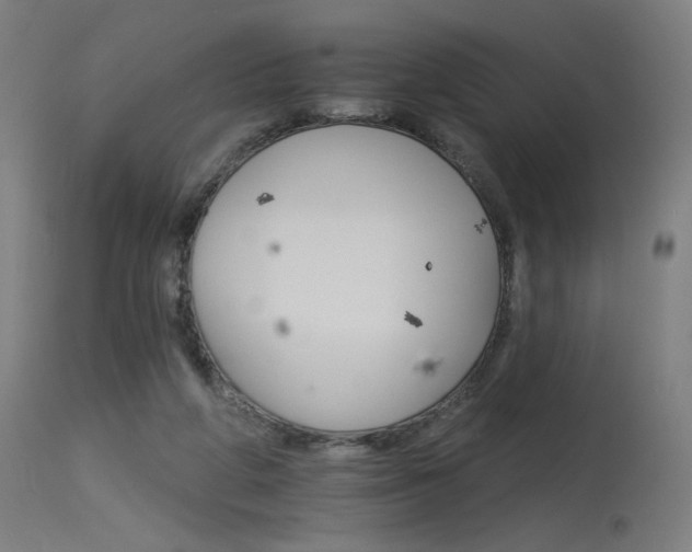 X0000115650210200911101547