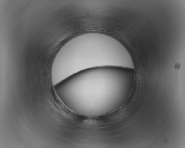 X0000115650211200911101547