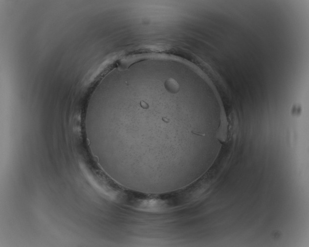 X0000115650212200911101547