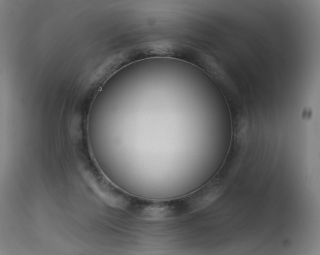 X0000115650213200911101547
