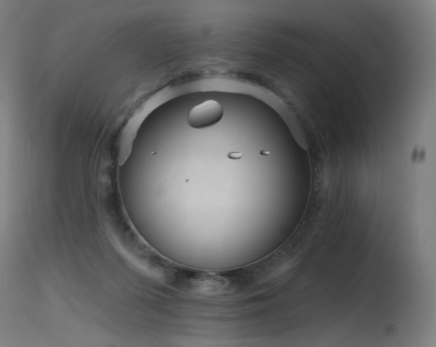 X0000115650215200911101547
